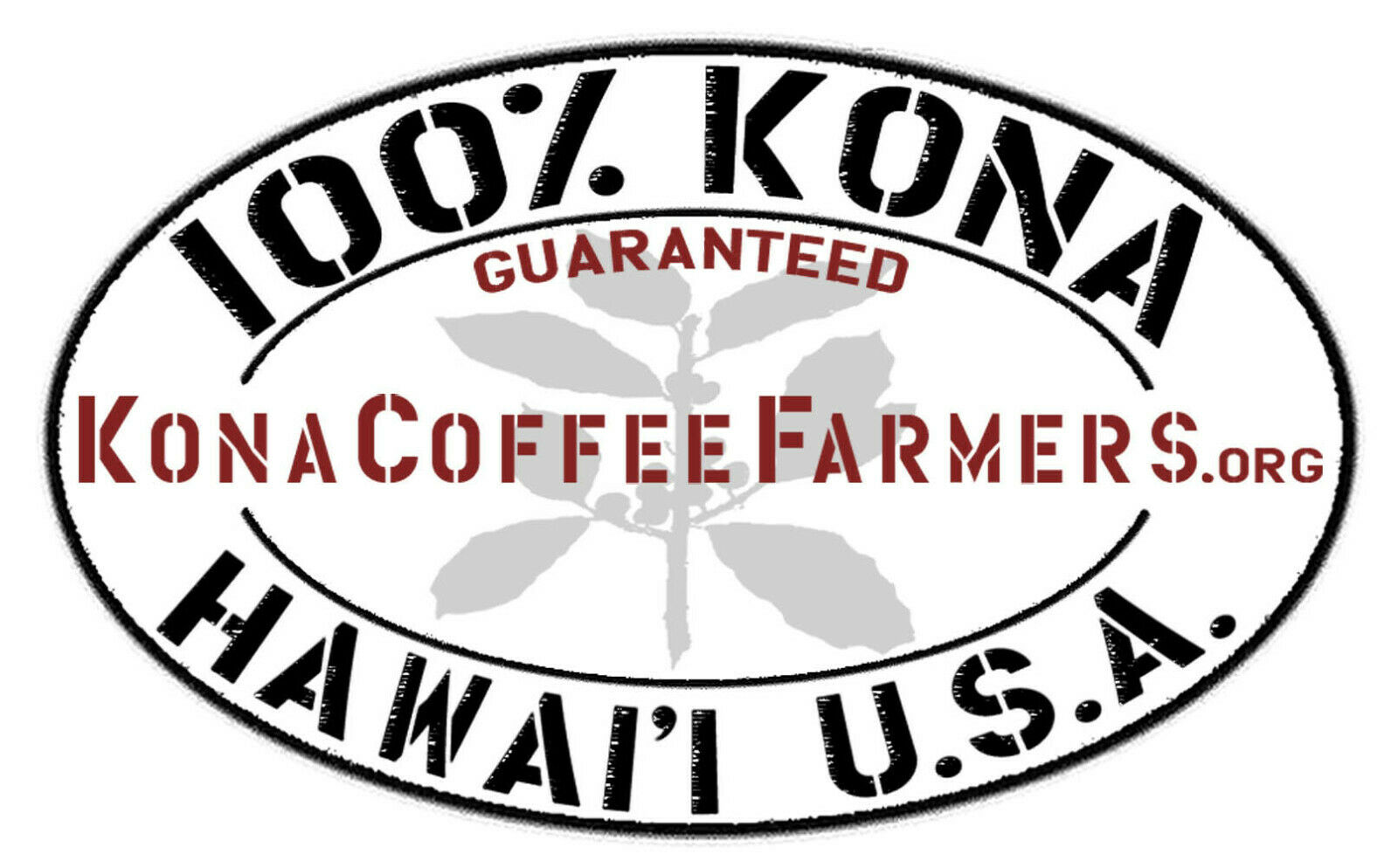 100 % Hawaiian / Kona Coffee Beans Medium Roasted Every Day 7 / 1 Pound Bags
