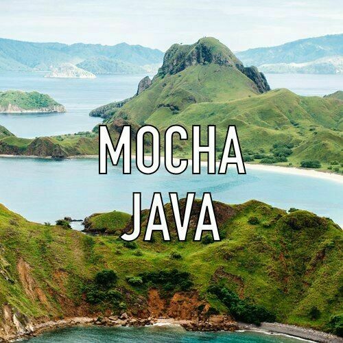 Mocha Java Gourmet Grade Whole Coffee Beans Fresh Roasted Daily 2 / 1 Pound Bags