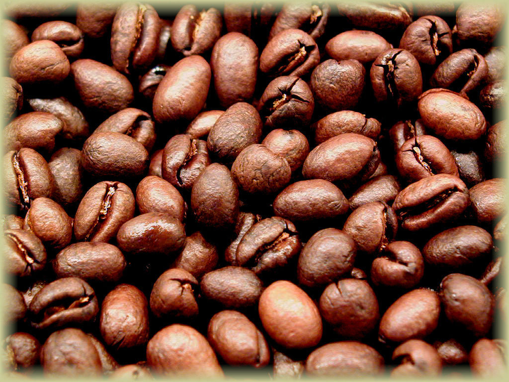 Tanzanian Kilimanjaro Peaberry Coffee, Medium Roast Whole Beans 2 / 1 Pound Bags